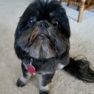 Meet your Posher, Susan